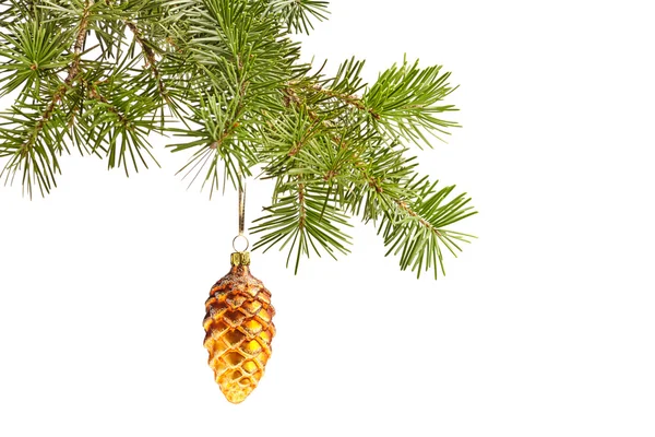 Christmas yellow cone on fir tree isolated — Stock Photo, Image