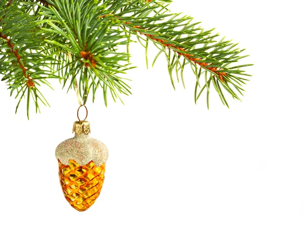 Christmas yellow cone on fir tree isolated on white background. — Stock Photo, Image