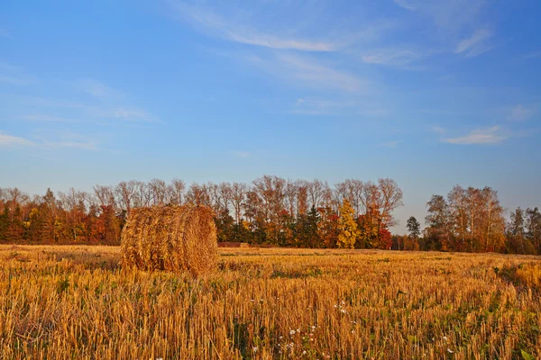 Gyllene autumn.sunset.the rulla av hö på fältet — Stockfoto