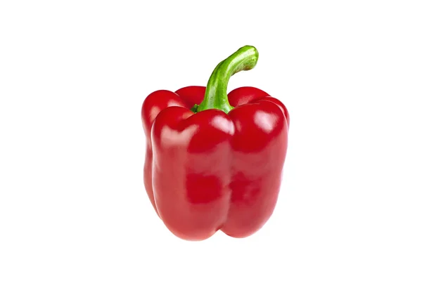 Rode peper geïsoleerd op een witte achtergrond — Stockfoto