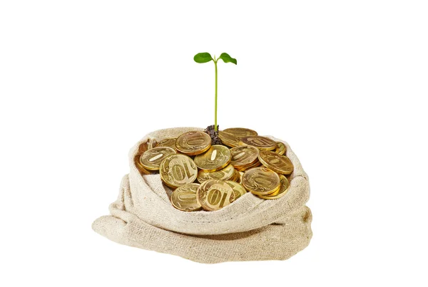 Canvas bag full with gold coins and a gentle green sprout — Stock Photo, Image