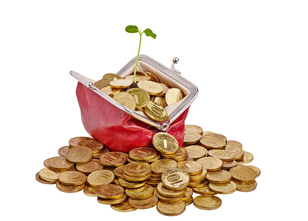 Old red purse with golden coins and gentle green sprout. Isolate — Stock Photo, Image