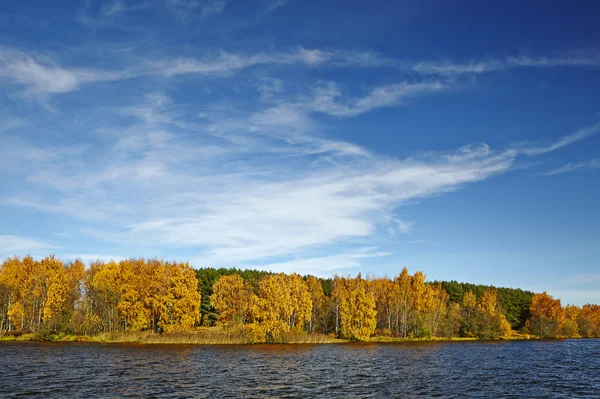 Autumn forest and lake in the fall season. Royalty Free Stock Images