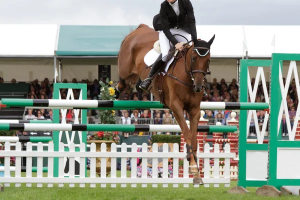 Springreiten — Stockfoto