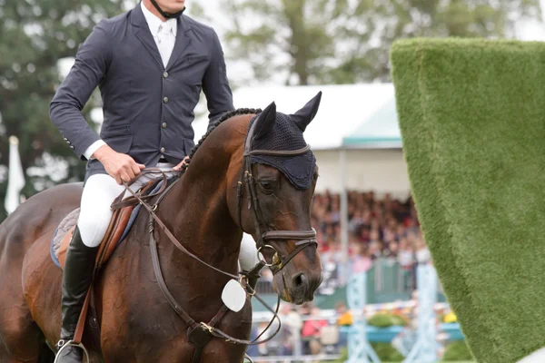 Springreiten — Stockfoto