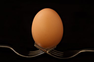 haşlanmış yumurta