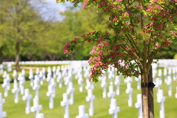 Cimitero di guerra americano, Cambridge Inghilterra — Foto Stock