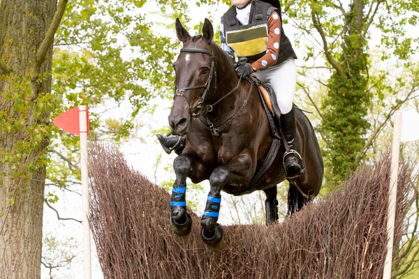 Pferd und Reiter — Stockfoto