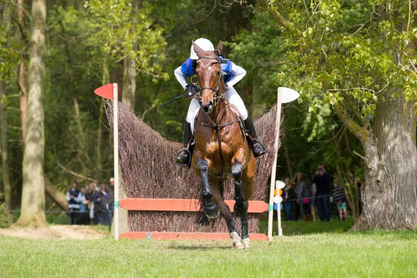 Caballo y jinete — Foto de Stock