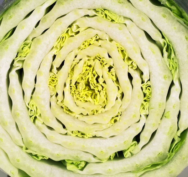 Cross Section Green Salad Close Background — Stock Photo, Image