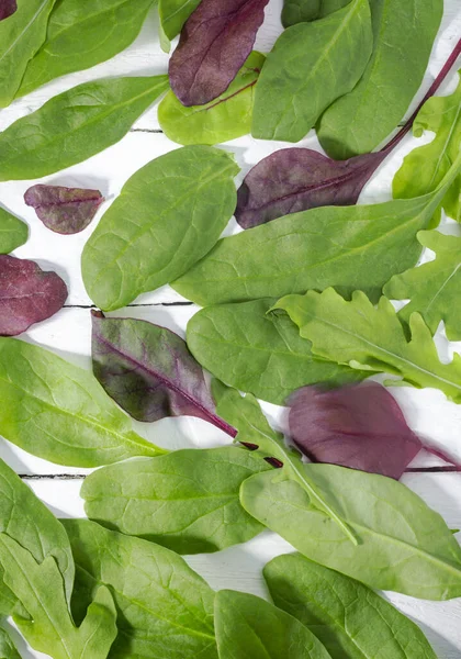 Mixed Lettuce Leaves Spinach Chard Lettuce Leaves Arugula White Background — Photo