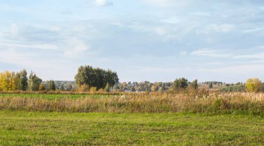 Yaz manzarası yeşil tarlalar. Arka planda mavi gökyüzü olan bir köy..