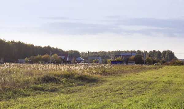 Panorama Une Rue Village Entourée Verdure Par Une Journée Ensoleillée — Photo