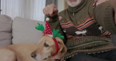 Yaşlı bir çift, Noel 'i evde Noel Baba şapkalı sarı köpekleriyle cep telefonuyla kutluyor.