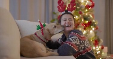 Küçük köpek, evdeki kanepede otururken Noel boynuzları takan gülen kızın yüzünü yalıyor. Mutlu genç bir kadın Noel ağacının yanında sarı bir köpekle kutlama sezonunu kutluyor.