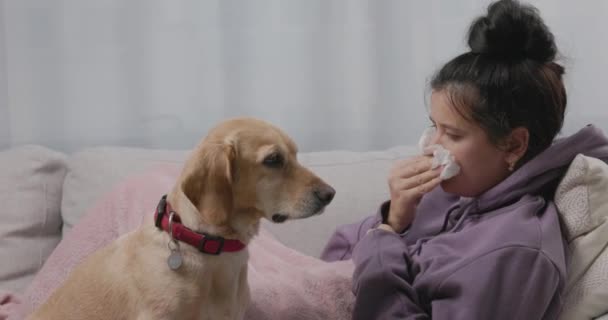 Mujer joven enferma en el sofá con su perro pequeño, riéndose, estornudando y sonándose la nariz, sufriendo de gripe estacional o resfriado. Niña enferma se siente mal con la gripe en casa — Vídeo de stock