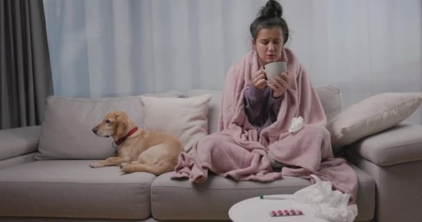 O tânără bolnavă care stă întinsă pe canapea cu câinele ei mic și bea ceai fierbinte, suferă de gripă sezonieră sau de frig. Fata se va simți nesănătoasă cu gripa acasă — Videoclip de stoc