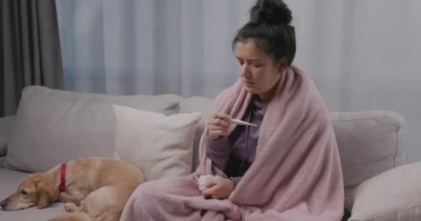 Ung sjuk kvinna kontrollerar sin temperatur med termometer, nysningar, liggande på soffan med sin lilla hund, lider av säsongsinfluensa eller kyla. Ohälsosam flicka med influensa hemma — Stockvideo
