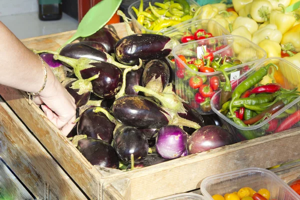 Zbieranie organicznych warzyw — Zdjęcie stockowe