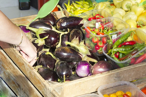 Colheita de vegetais biológicos — Fotografia de Stock