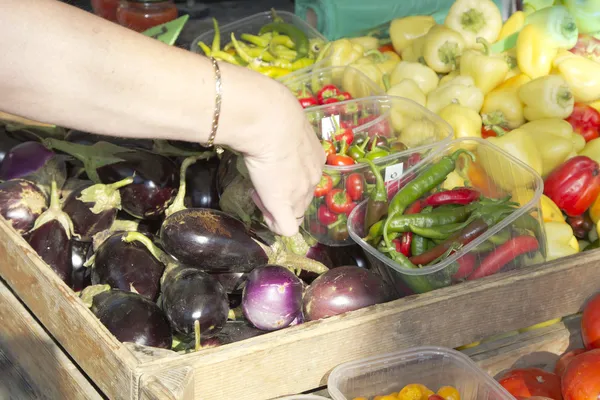 Zbieranie organicznych warzyw — Zdjęcie stockowe