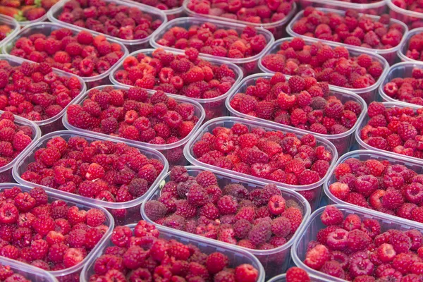 Organické raspberrys na trhu stojan — Stock fotografie