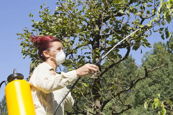 Gebruik van chemische stoffen in de tuin — Stockfoto