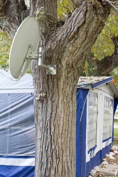 나무에 장착 된 위성 접시 — 스톡 사진