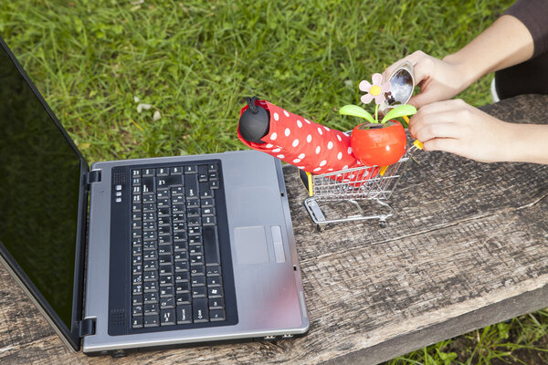 Концепция интернет-покупок