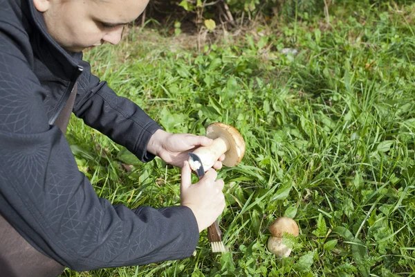 Cute girl cleaning Porcini — Stock Photo, Image