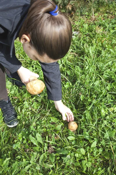 Fille vient de trouver un champignon — Photo