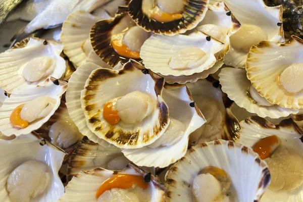 Frische Jakobsmuscheln auf dem Fischmarkt — Stockfoto