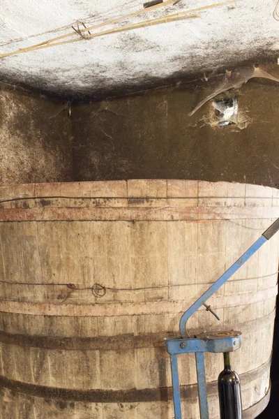 Stare drewno lufa w piwnicy winiarskiej — Zdjęcie stockowe