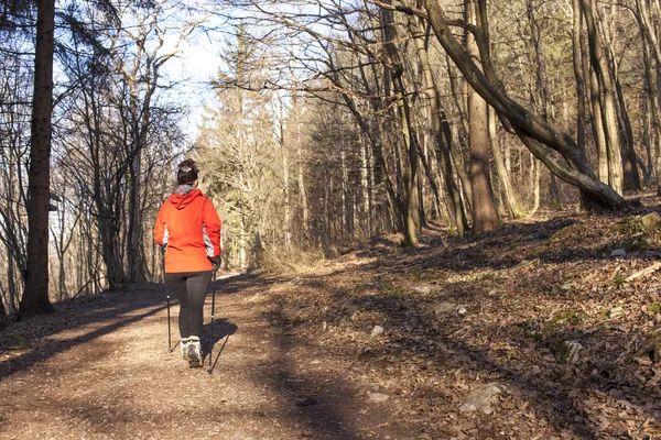 Donna sportiva Nordic walking attraverso il paese — Foto Stock
