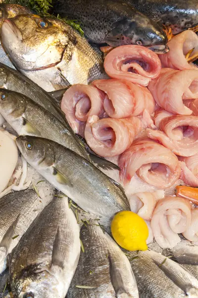 Frische Früchte des Meeres — Stockfoto