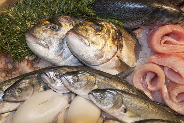 Pesci freschi sul mercato del pesce — Foto Stock