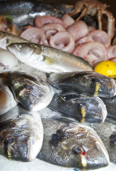 鲜鱼市场上新鲜鱼类 — 图库照片