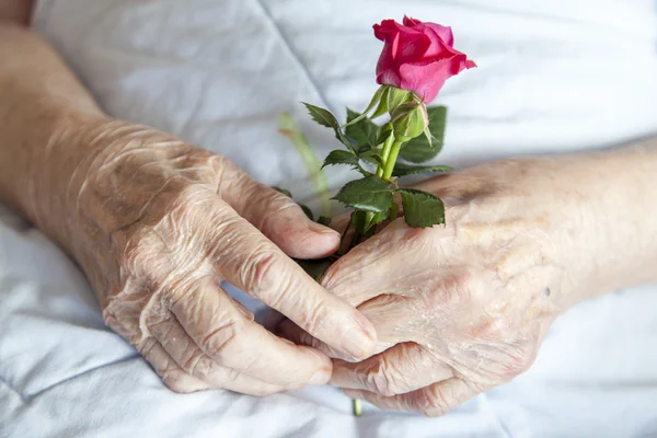 Ruce starší paní, série fotografií — Stock fotografie