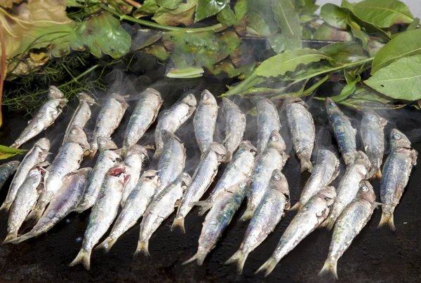 Fresh mackerel fishes on grill — Stock Photo, Image