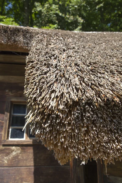 Primo piano di Thatched Roof — Foto Stock