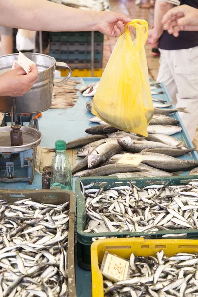 Compra de pescado fresco en el mercado — Foto de Stock