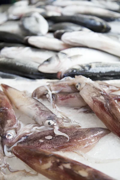 Pescatori di prima classe pescano sul banco del mercato — Foto Stock