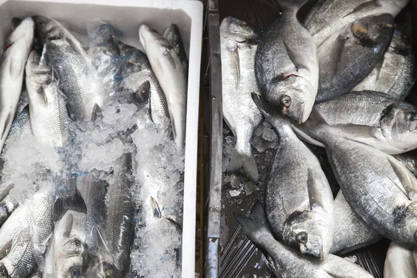 Pescatori di prima classe pescano sul banco del mercato — Foto Stock