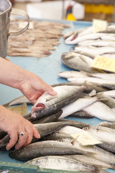 Vendere, mostrando pesce fresco sul mercato — Foto Stock