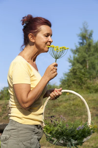 Cute gardener with organic herbs — Stock Photo, Image