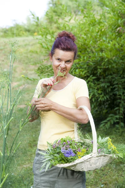 Söt trädgårdsmästare med ekologiska örter — Stockfoto