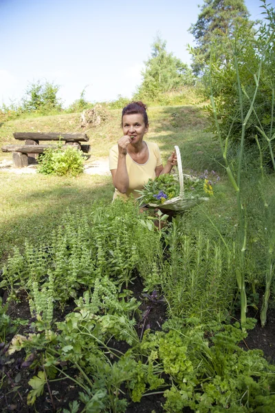 Cute gardener with organic herbs — Stock Photo, Image