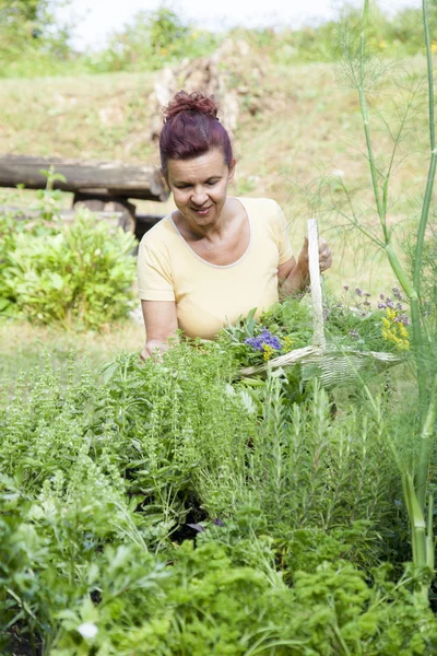 Schattig tuinman met biologische kruiden — Stockfoto