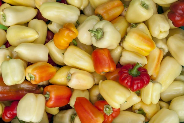 Colorful organic peppers — Stock Photo, Image