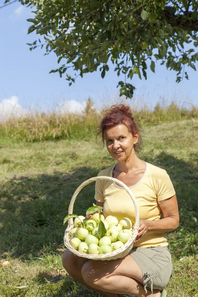 Mulher sorridente mostrando maçãs orgânicas — Fotografia de Stock